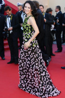 Ziyi Zhang photo #